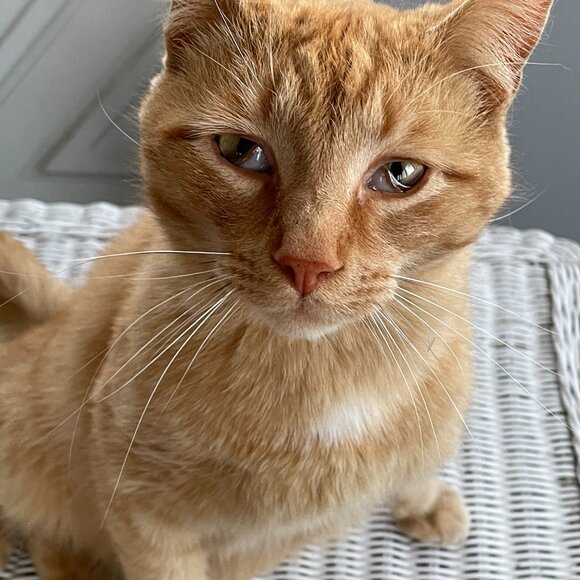 Meet your Posher - Alexis :-) - Picture 5 of 6